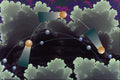 617084 Clouds A4 Photo Print