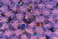 617092 Crystallized Orbits A4 Photo Print