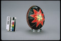 618005 Ukrainian Star Motif, Waterloo, Ontario A4 Photo Print