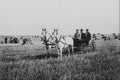 619001 Landseekers Near Saskatoon, Saskatchewan, C 5111 A4 Photo Print