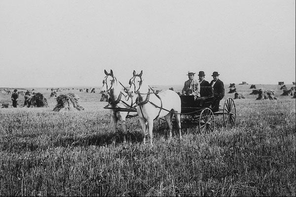 619001 Landseekers Near Saskatoon, Saskatchewan, C 5111 A4 Photo Print