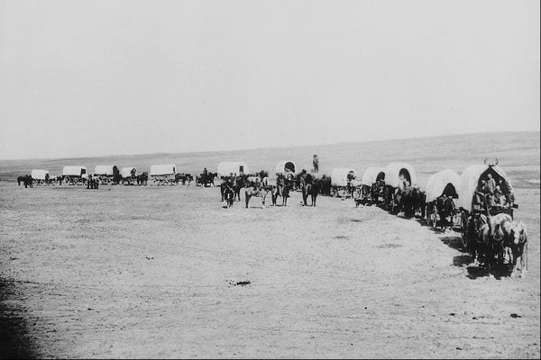 619010 Prairie Schooners In Manitoba, C 15040 A4 Photo Print