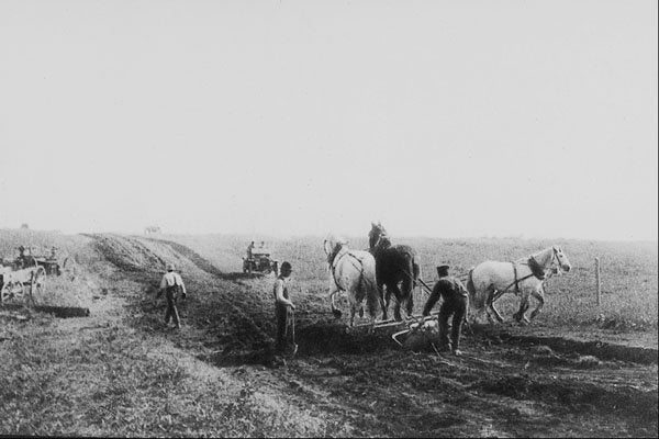 619038 Road building, Doukhobor Community, Sask., 1918, PA 22237 A4 Photo Print