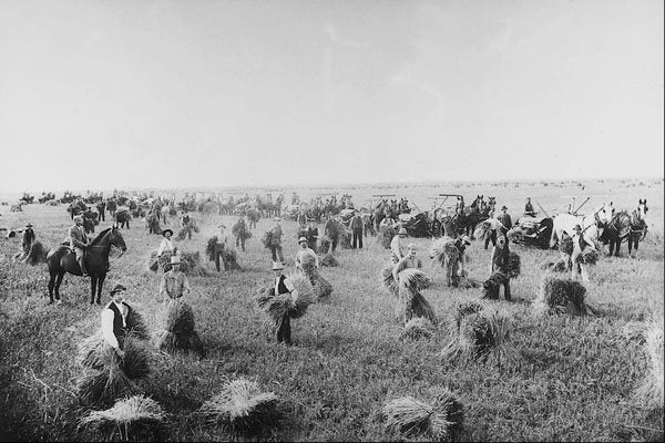 619043 Brandon, Manitoba, 1892, Photo J.A. Brock & Co. PA 31489 A4 Photo Print