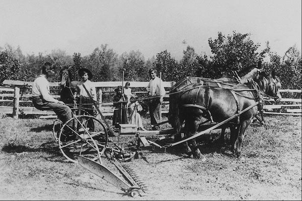 619047 Haying Scene, Bella Coola, B.C., PA 41172 A4 Photo Print