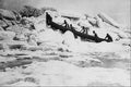 619079 St. Lawrence R., Montreal, 1875, Photo A. Henderson PA 149790 A4 Photo Print