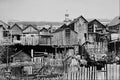619088 Chinese Quarters, Victoria, 1886, Photo E. Deville C 23415 A4 Photo Print
