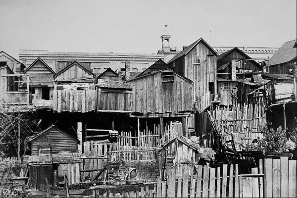 619088 Chinese Quarters, Victoria, 1886, Photo E. Deville C 23415 A4 Photo Print
