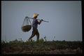 621031 Northern Vietnam A4 Photo Print