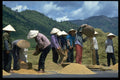 621034 Southern Vietnam A4 Photo Print