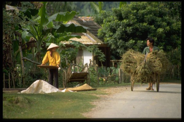621036 Mai Chau, Northern Vietnam A4 Photo Print