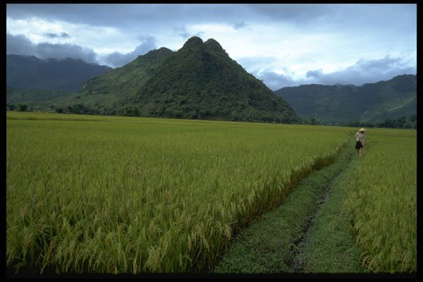 621038 Mai Chau, Northern Vietnam A4 Photo Print