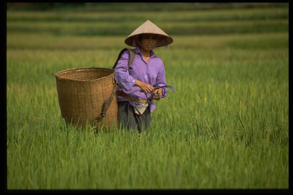 621039 Mai Chau, Northern Vietnam A4 Photo Print