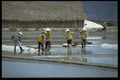 621045 Collecting Salt, Northern Vietnam A4 Photo Print