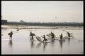 621046 Fishing, Northern Vietnam A4 Photo Print