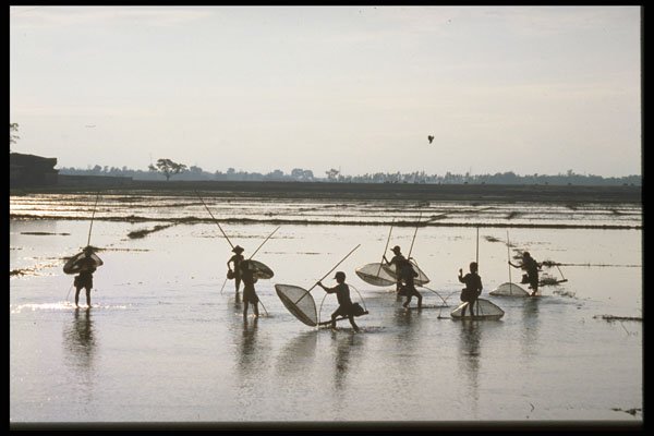 621046 Fishing, Northern Vietnam A4 Photo Print