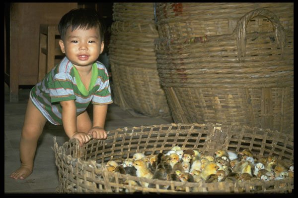 621078 Child In Market A4 Photo Print