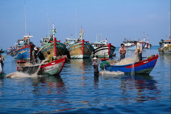 621094 The Harbor, Vung Tau A4 Photo Print