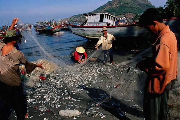 621095 Coming Back From A Night's Fishing, Vung Tau A4 Photo Print