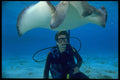 624011 Stingray, Grand Cayman Islands A4 Photo Print