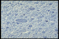624049 Blue Kitchen Sponge A4 Photo Print