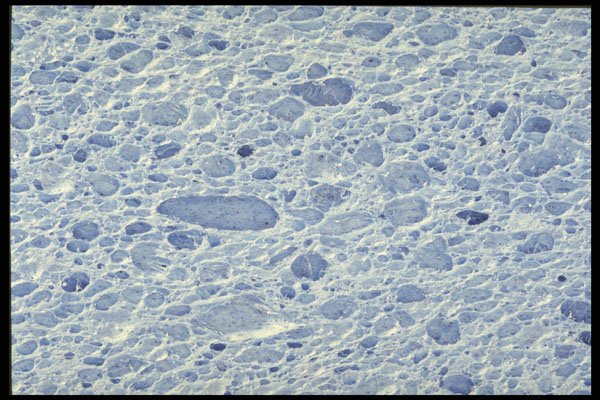624049 Blue Kitchen Sponge A4 Photo Print