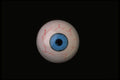 624054 Eyeball A4 Photo Print