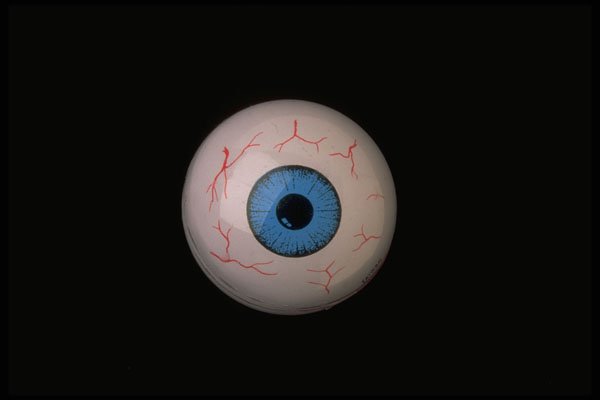 624054 Eyeball A4 Photo Print