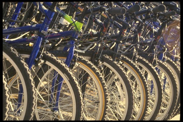 624058 Bicycle Wheels A4 Photo Print