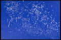 624059 Broken Glass A4 Photo Print