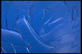 624062 Cerulean Paint Texture A4 Photo Print