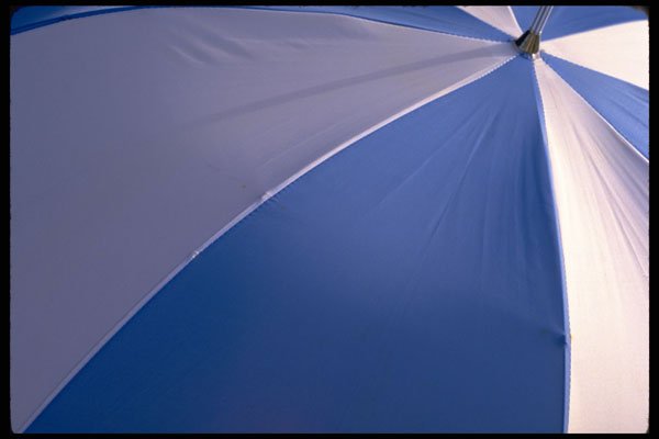 624076 Umbrella A4 Photo Print