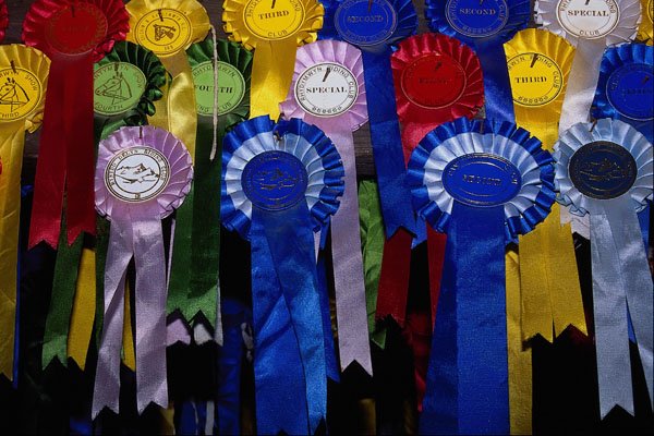 624099 Horseback Riding Rosettes A4 Photo Print