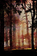 625004 Trees, Tatton Park, Cheshire A4 Limited Edition Watercolour Print