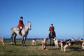 625012 Huntsmen And Hounds, Milvain Hunt A4 Photo Print