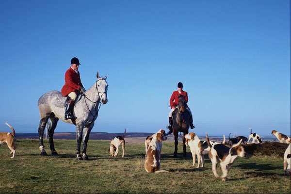 625012 Huntsmen And Hounds, Milvain Hunt A4 Photo Print