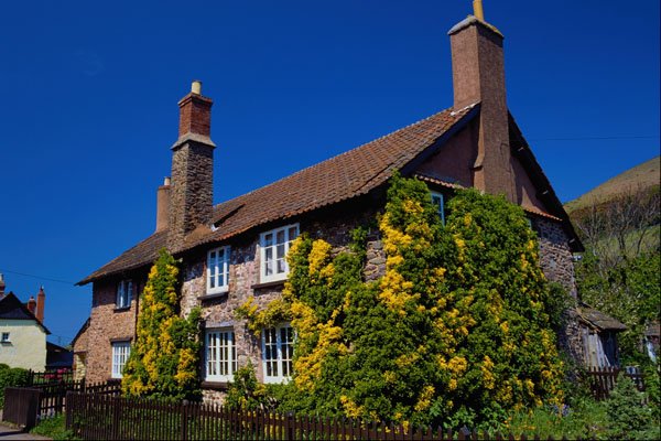 625037 Bossington, Somerset A4 Photo Print