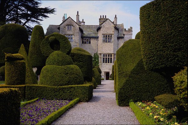 625049 Leven's Hall Topiary Garden, Cumbria A4 Photo Print
