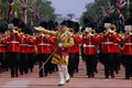 625062 Royal Coldstream Guards, London A4 Photo Print