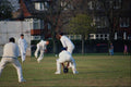 625066 Cricket, Central Park, Wallasey A4 Photo Print