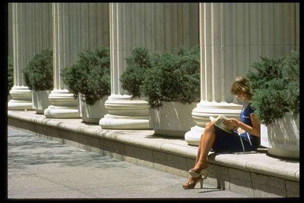 626016 Woman Reading On Steps Of Civic Building A4 Photo Print