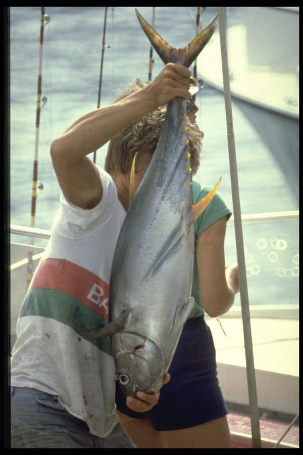 628000 Yellow Fin Tuna, Bermuda A4 Photo Print