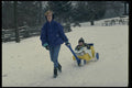 628030 Winter Pull A4 Photo Print