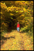 628035 Autumn Stroll, Ottawa, Canada A4 Photo Print