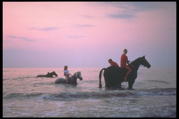 628038 Riding Horses In The Northsea, Scandinavia A4 Photo Print