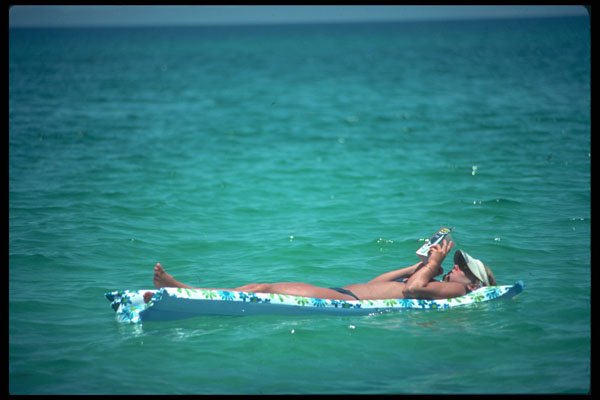 628040 Reader Afloat, Sea Of Cortez, Isla Espiritu Santos, Mexico A4 Photo Print