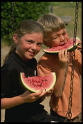 628054 Children Eating Watermelon A4 Photo Print