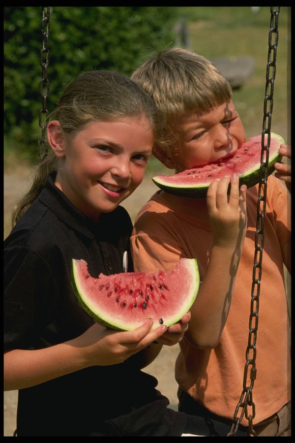 628054 Children Eating Watermelon A4 Photo Print