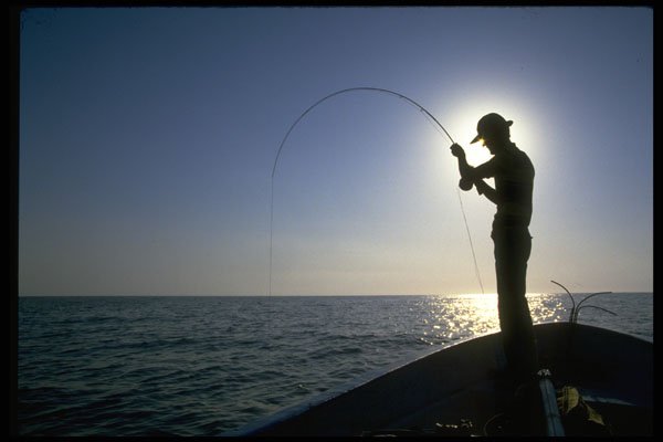 628057 Fly Fisherman, Sea Of Cortez, Mexico A4 Photo Print