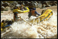 628066 Running Lava Falls, Grand Canyon, U.S.A. A4 Photo Print